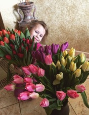 Тюльпаны оптом и в розницу по приятной цене